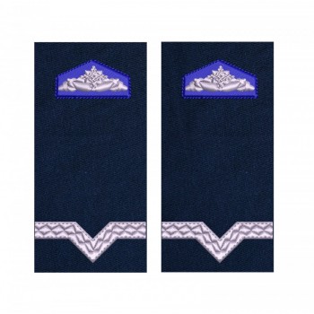 GRADE MAISTRU MILITAR CLASA 5 SRI